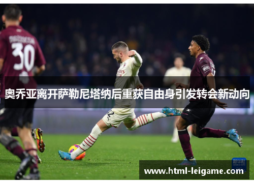 奥乔亚离开萨勒尼塔纳后重获自由身引发转会新动向